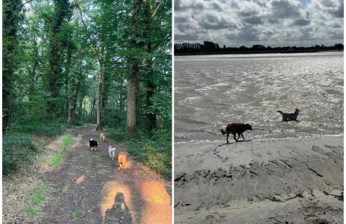 Gîte des Hirondelles n - Foto 38