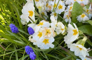 Simla Bungalow, Tetney, Spacious Parking, Private Garden - Foto 22