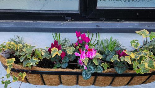 3 Penllan Cottages - Foto 3