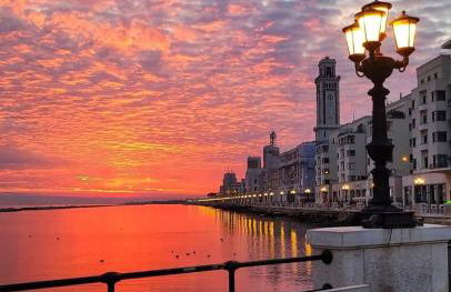 D'AMAR HOUSE - Foto 21