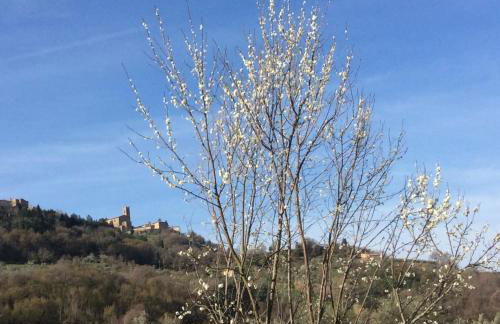 Agriturismo Le Canterie - Foto 44