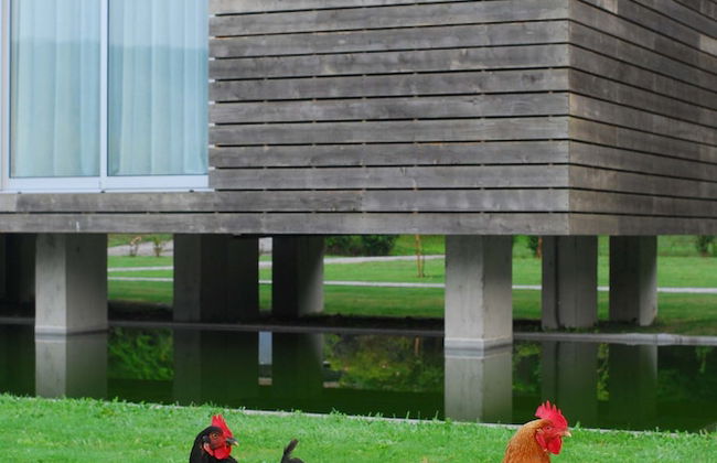 Furnas Lake Forest Living - Foto 40