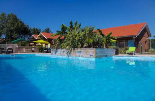 Village Drôles d'Oiseaux - Photo 15