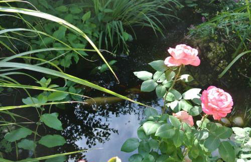 Ferienwohnung "Schön Wohnen in Mainz" - Foto 16