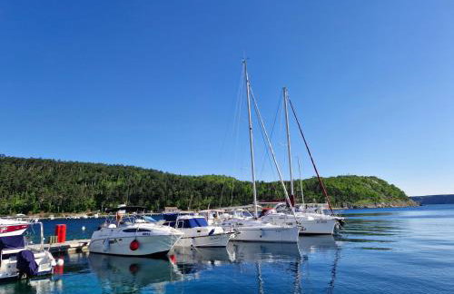 Apartman Valja - 55m2 - Sea View - Garden - Grill - Photo 50