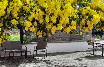 Masseria Ai Pioppi - Foto 43