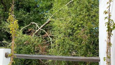 Casa do Rio - Foto 4, Garden