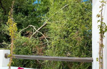 Casa do Rio - Foto 4