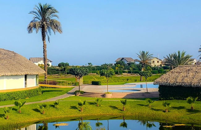 HOP Mykonos en Playa y Naturaleza de Chincha - Foto 42