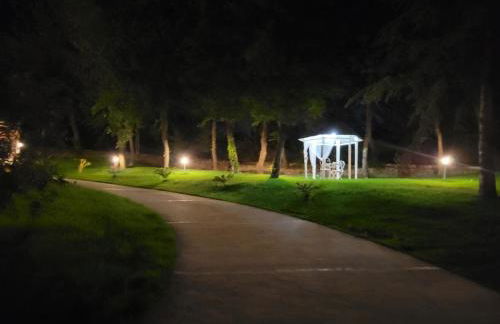 Casale Angela - Foto 27