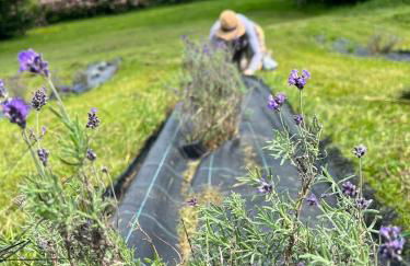 Casetta dipinta Fattoria dei fiori - Photo 75