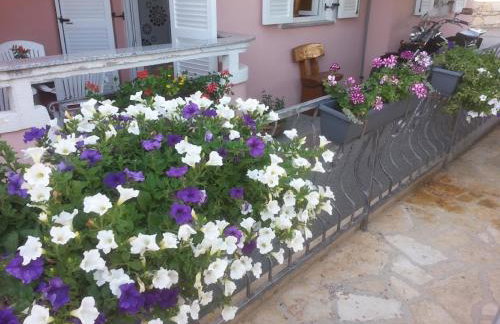 Apartments Albatross - Photo 37