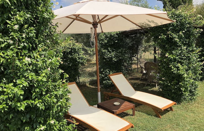 Agriturismo Podere Marchiano - Foto 53