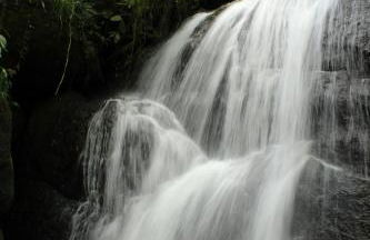 A Morada do Muriqui - Foto 48