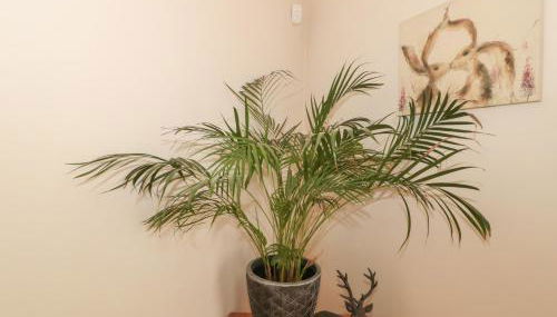 Pips Hideaway - Photo 4