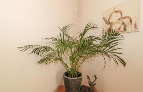 Pips Hideaway - Photo 4