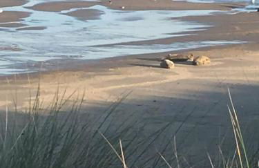 Seafret Barn sleeps two, North Norfolk - Foto 64