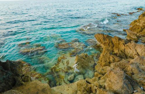 Airport sicily home palermo - Foto 24