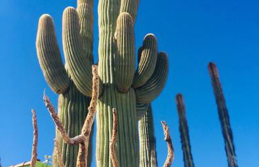 JT Park Villa 360 Views and Starlink on 10 acres - Foto 32