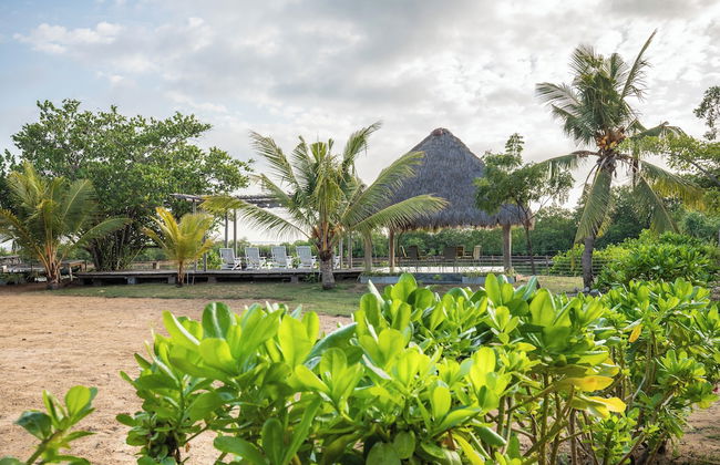 Club Mango - Photo 19