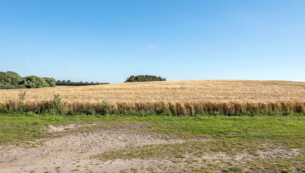 "Haralde" - 2.5km from the sea - Foto 4, Outdoor