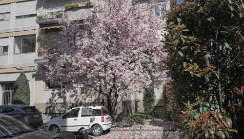 Garden Flat - Foto 4, Garden, Garden view