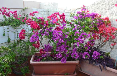 La Casa di Gianna - Photo 25