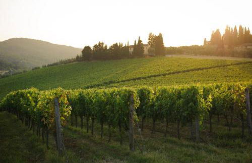 Chiantivillas Villa Torricella, 27 - Foto 10