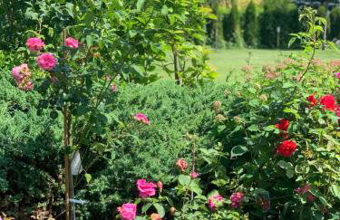 Luxury Villa - JessApart Walendia - Foto 52