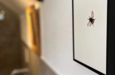 Mächlerhof - Foto 75