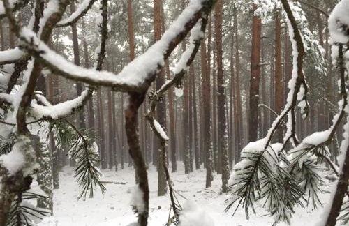 Casa Rural El Lavadero - Foto 10