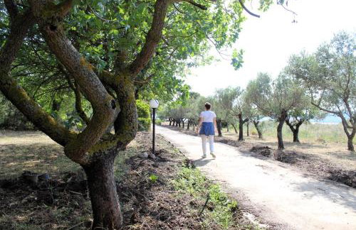 The Sisters Beach House - Foto 55