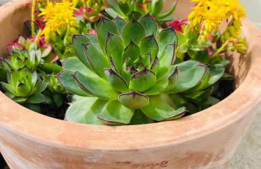 Le Saint Marin - Foto 40