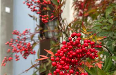Studio rénové à 2 pas du centre-ville de Senlis - Foto 20