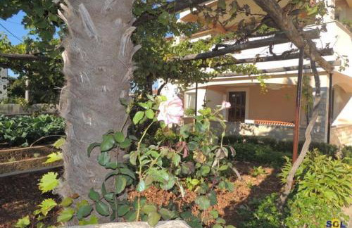 Apartments Drpic - Foto 26