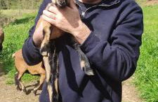 Quinta da Tapada - Foto 34