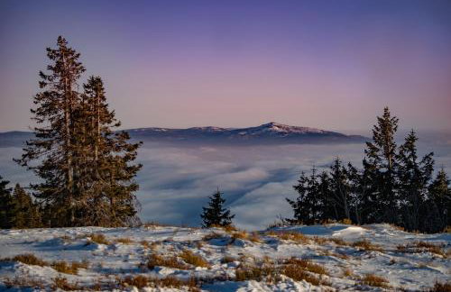 Landhaus Lerchenweg FeWo inkl aktivCARD - Foto 21
