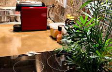 Refúgio do Nevoeiro Estudio - Foto 5