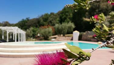 Il Rosmarino Appartamenti - Photo 4, Garden, sunbed, Garden view