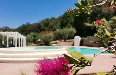 Il Rosmarino Appartamenti - Photo 4