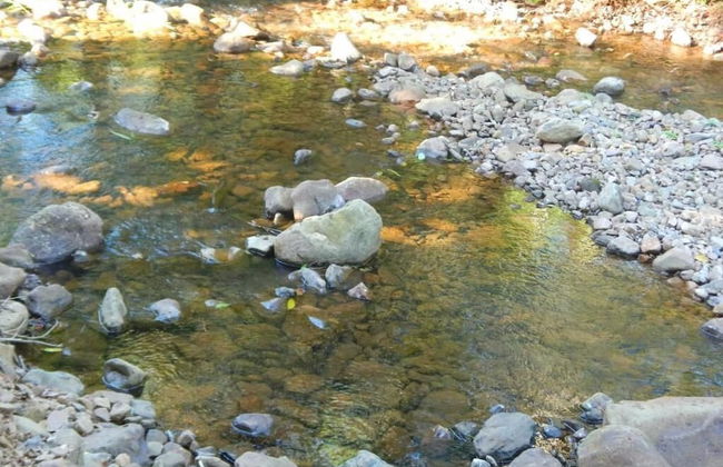 RECANTO DOS COMPADRES - Foto 46