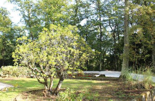 Villa La Casa Bianca - Foto 18