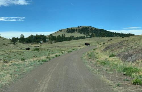 Buffalo Cabin - Foto 37