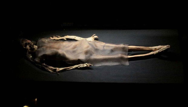 Brujo & Cao Museum Private Tour - Foto 4