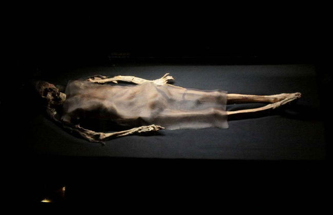 Brujo & Cao Museum Private Tour - Foto 4