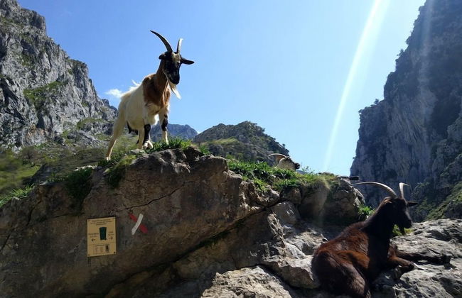 The Old Palace Tower / La Torre del Palación - Foto 67