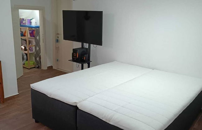 Thor & Freyja's of Poseidonia Syros Holiday House - Foto 9