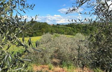 Agriturismo a casa di Toni - Photo 9