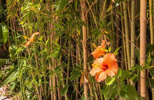 Villa Roco Marbella private pool and sea view - Photo 11