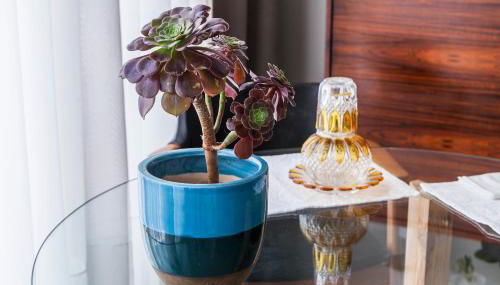 Villa Lóios by Casa do Conto - Foto 3